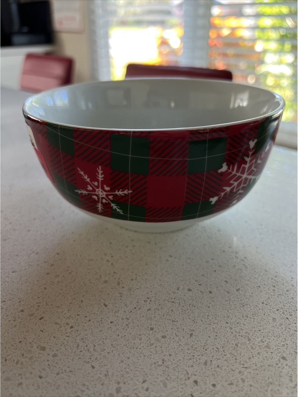 DISNEY MICKEY MINNIE MOUSE Plaid Snow Christmas Soup/cereal Bowl - New.